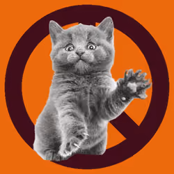 War, peace, and cat #870