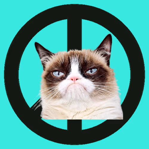 War Peace And Cat