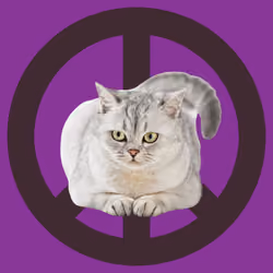 War, peace, and cat #276