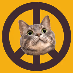 War, peace, and cat #559
