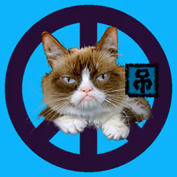 War, peace, and cat #556