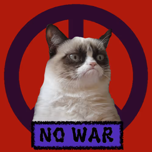 War Peace And Cat