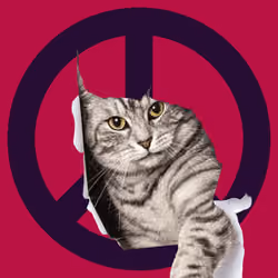War, peace, and cat #480
