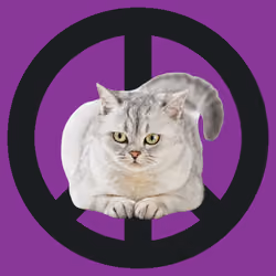 War, peace, and cat #275