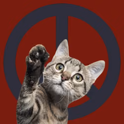 War, peace, and cat #483