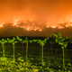 TERRA FLAMMA