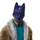 5249