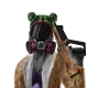 1721