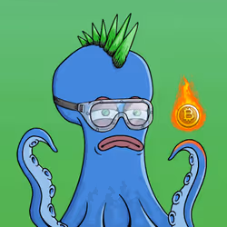 Kraken #596