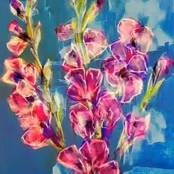 Holy Gladioli