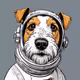 BarksNFT#1953
