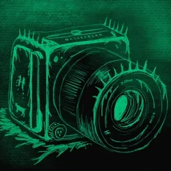 Rektography (#489/555)