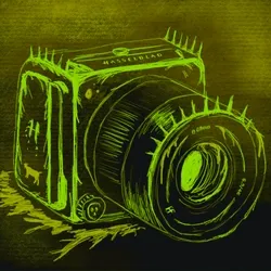 Rektography (#186/555)