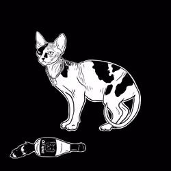 The Sad Cat #6914