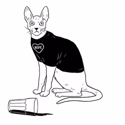 The Sad Cat #4534