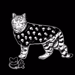 The Sad Cat #2639