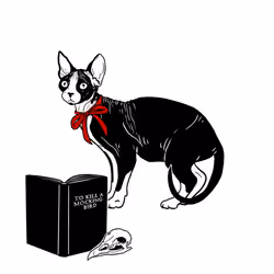 The Sad Cat #3188