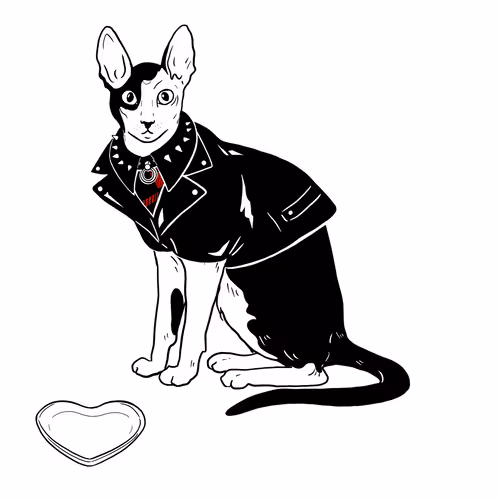 The Sad Cat #2598