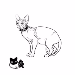The Sad Cat #184