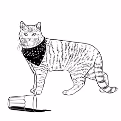 The Sad Cat #6142