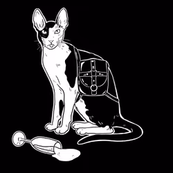 The Sad Cat #2905