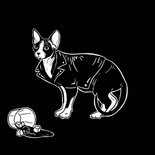 The Sad Cat #3912