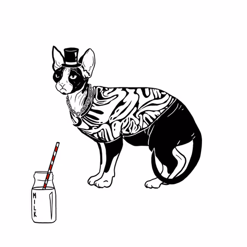 The Sad Cat #6473