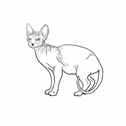 The Sad Cat #919