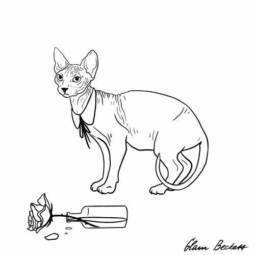 The Sad Cat #893