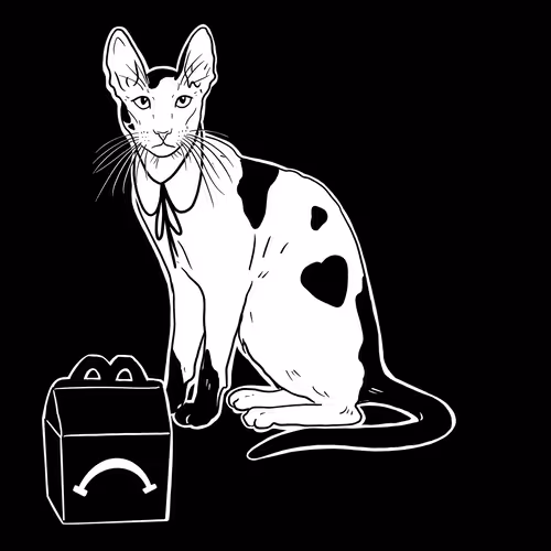 The Sad Cat #6206