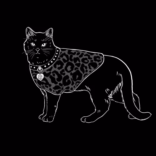 The Sad Cat #3439