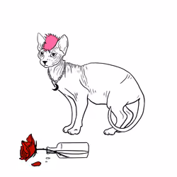The Sad Cat #840