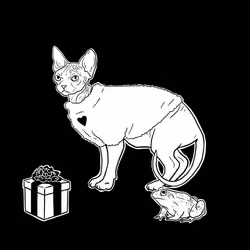 The Sad Cat #3836