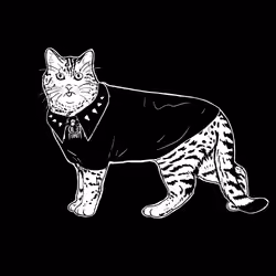 The Sad Cat #2576
