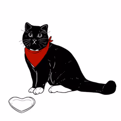The Sad Cat #6463