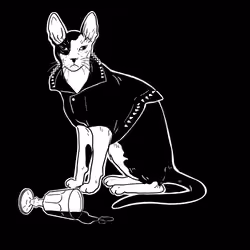 The Sad Cat #891