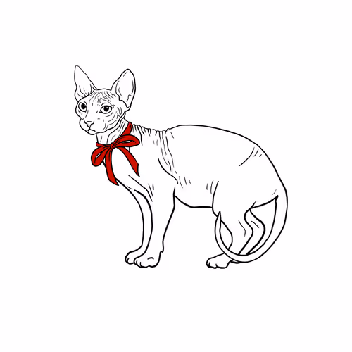Thesadcats
