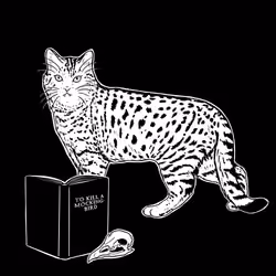 The Sad Cat #5541