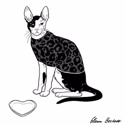 The Sad Cat #6475