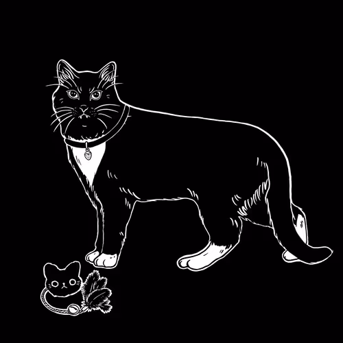 Thesadcats