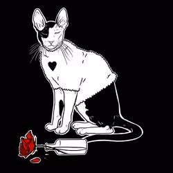 The Sad Cat #5189