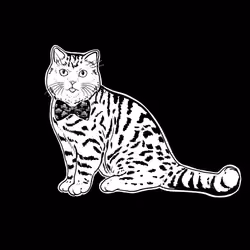 The Sad Cat #3517