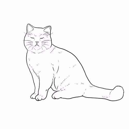 The Sad Cat #2162