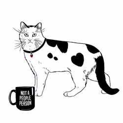 The Sad Cat #4523