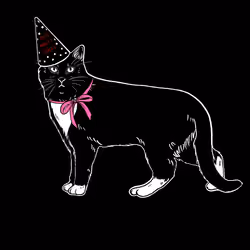 The Sad Cat #2961