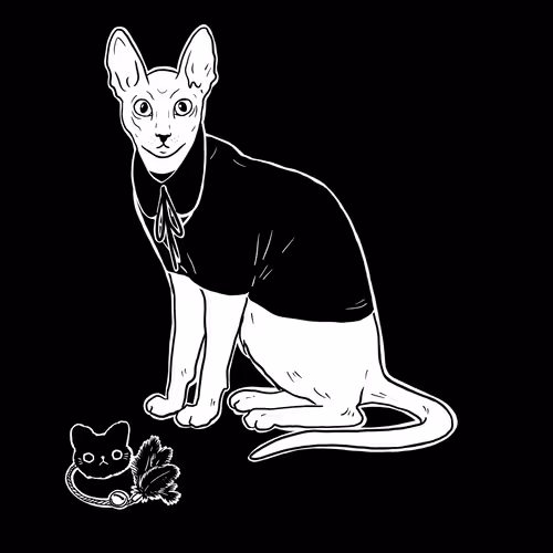 The Sad Cat #6513