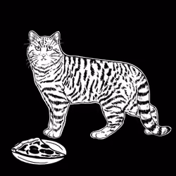 The Sad Cat #3913