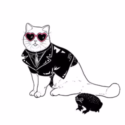 The Sad Cat #3484