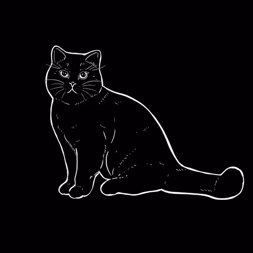 Thesadcats
