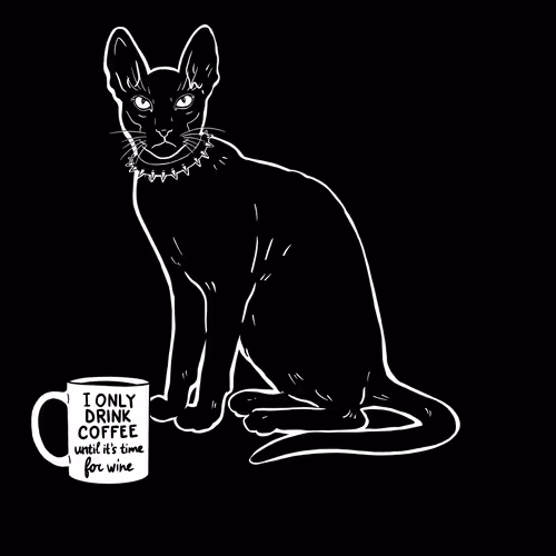 The Sad Cat #3620